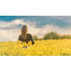 Letting Love Master Your Heart