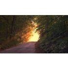 Higher Lessons in the Nature of Light