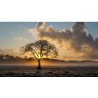 Learn Where to Look for the Extraordinary Life