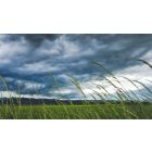 Stop Fighting Confusion and Stormy Emotions