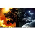 The Courage to Be Free of Negative States