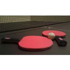 End the Game of "Pain Pong"