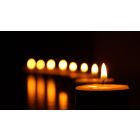 Keeping Bright the Light of Life