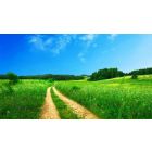 The Plan and the Path to Life Everlasting