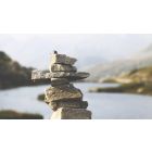 How to Find True Balance in Life