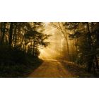 Here Is How the Light of Truth Sets You Free
