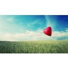 Learn to Move from Your Head to Your Heart