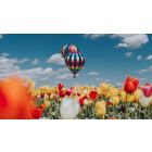 Student Talks on "How to Shatter the Painful Illusion of Self-Limitation" (3/11/22)