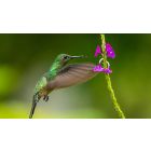 Online Study Group Meeting for Monday (04/21/2025)