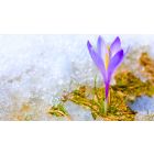 Fulfillment of the Soul Through Faith