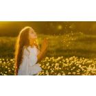 Enter Into the Higher Relationship that Heals Everyone Involved