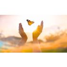 Make the Right Request and Release Yourself From Fear