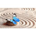 The Unassailable Kingdom of a Quiet Mind