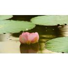 Awaken Your Authentic Spiritual Authority