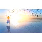 The Freedom to Find Your Heart's Desire