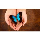 Let Love Teach You About Love