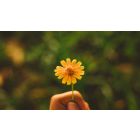 Secrets of Soul Success