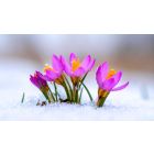Don't Argue with Life: Use It to Awaken