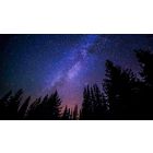 The True Story of Wholeness, Fearlessness and Freedom