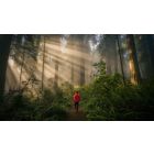 Eight Steps to Inner Success