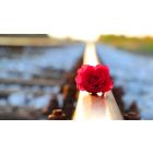 Real Steps to Help You Release Negative States