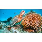 Leave the Shallow Self for the Deeper Life