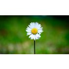 How to Make Way for a New Kind of Will