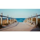 Father, Forgive Them: For They Know Not What They Do