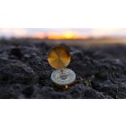 The Pathless Journey to Realizing Perfect Self-Unity