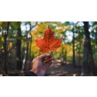 Student Q&A with Guy on "Here's the Missing Piece to Life's Most Puzzling Moments" (10/11/23)