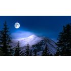 Online Study Group Meeting for Monday (5/2/2022)