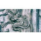 Saddle the Dragon of Desire and Be Set Free