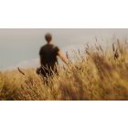 Heal the Pain Hidden In Compulsive Pleasures