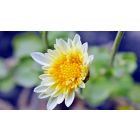 Online Study Group Meeting for Monday (4/6/2020)