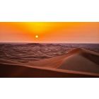 Online Study Group Meeting for Wednesday (2/5/2020)