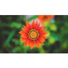 Online Study Group Meeting for Monday (2/8/2021)