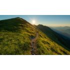 Step onto the "Pathless Path" and Realize a Peace that Passes All Understanding