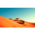 Online Study Group Meeting for Monday (2/26/2024)
