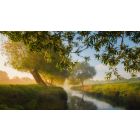 End the Dark Cycle of Discontentment