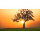 Student Q&A with Guy on "Freedom from Fearful Thoughts and Feelings Starts Here" (11/29/20)