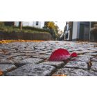 Student Q&A with Guy on "The Karma-Free Path to Being Perfectly Complete" (4/21/21)
