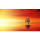 Student Q&A with Guy on "See Through this False Belief and Learn to Welcome Every Moment of Life" (5/30/21)