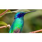 Student Q&A with Guy on "Transform Old Negative Reactions into New Self-Understanding" (3/17/21)