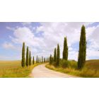Discover the Road Back Home that Begins and Ends in You