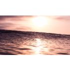 Learning to Ride the Waves of Consciousness