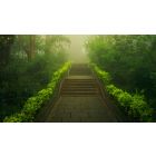 Step into the Matrix of Real Life and Out of the World of Fear and Worry