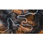 Online Study Group Meeting for Monday (6/13/2022)