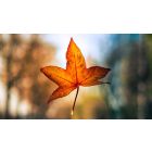 3 Words to Help Reveal and Release You From Any Fear