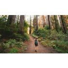The 5-Step Path to Realizing Perfect Freedom
