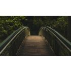 Find the Lost Bridge Over Troubled Waters